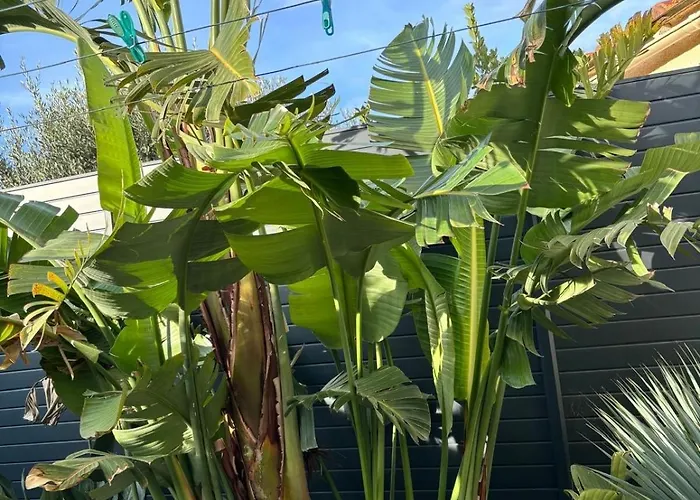 Villa L 'evasion Saint-Cyprien (Pyrenees-Orientales)